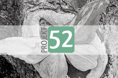 Projekt 52