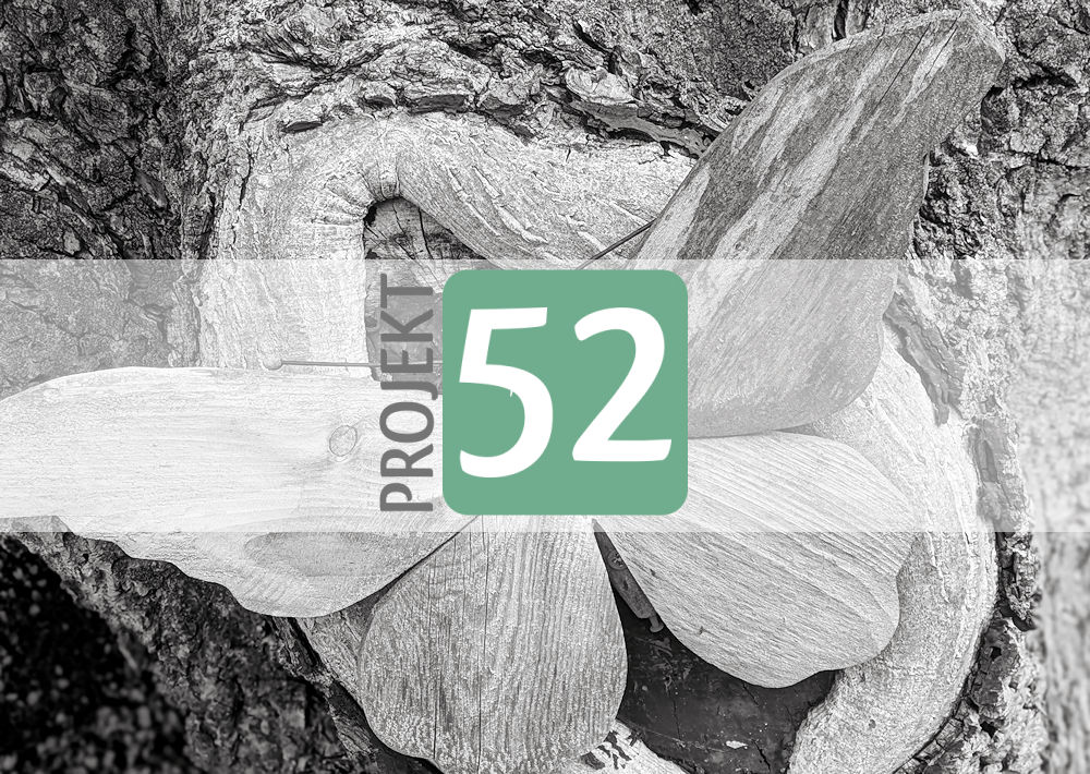 Projekt 52