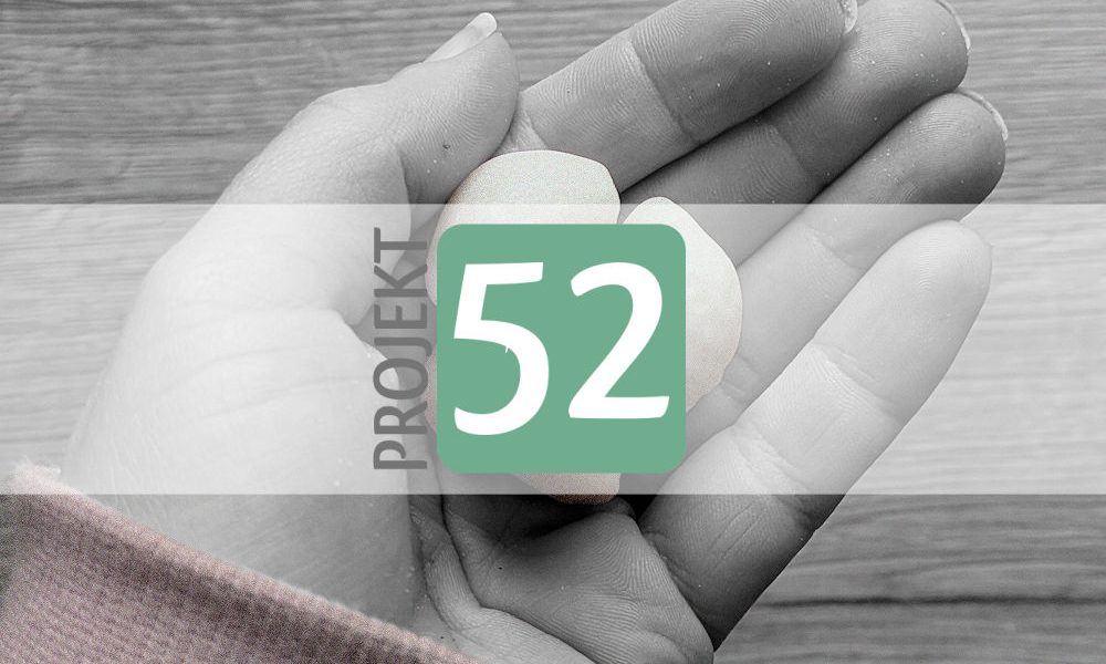 Projekt 52