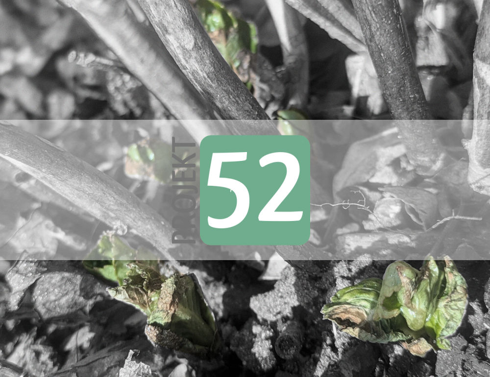 Projekt 52
