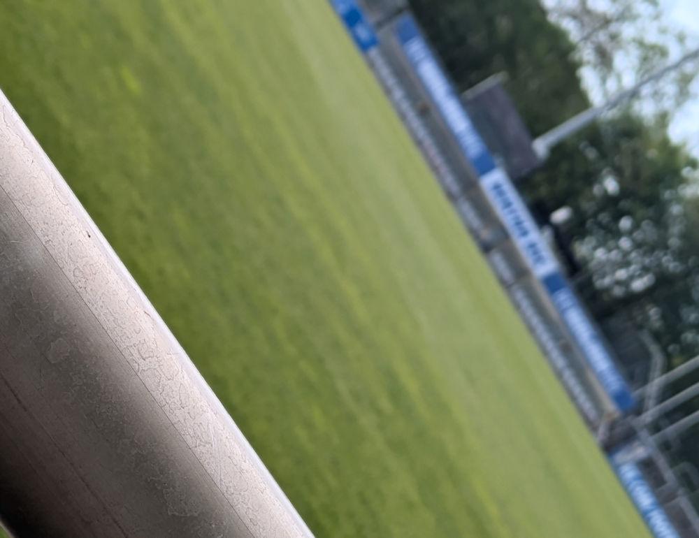 Wochenlieblinge