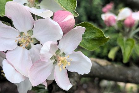 Wochenlieblinge