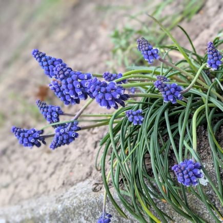 Nature Thursday