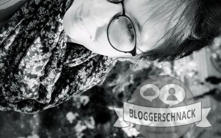 Bloggerschnack