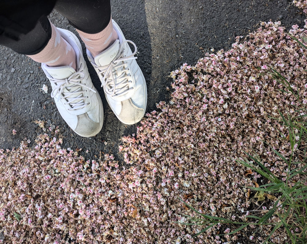 Nature Thursday