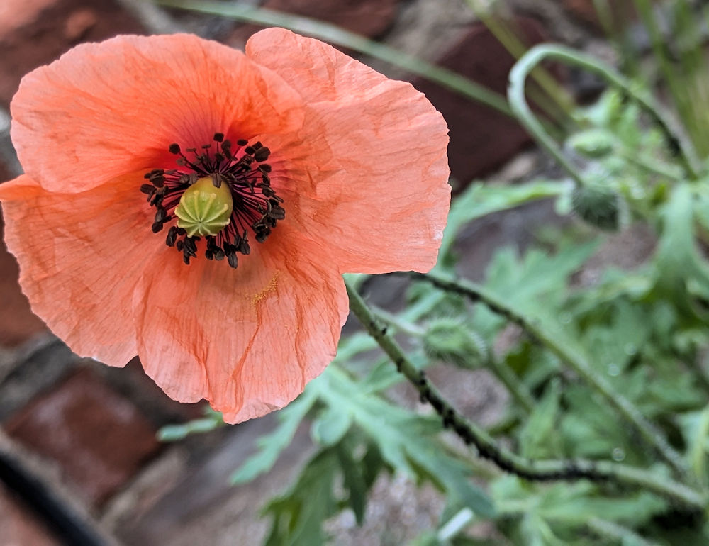 Nature Thursday