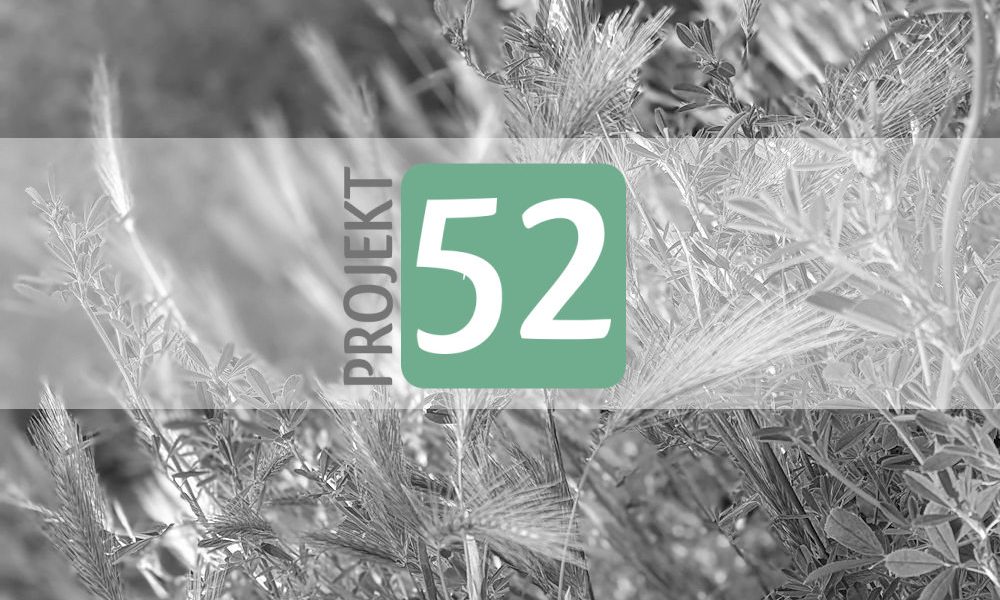 Projekt 52