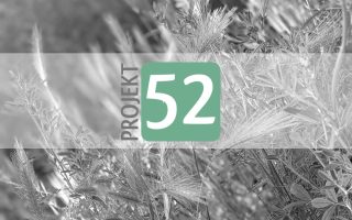 Projekt 52