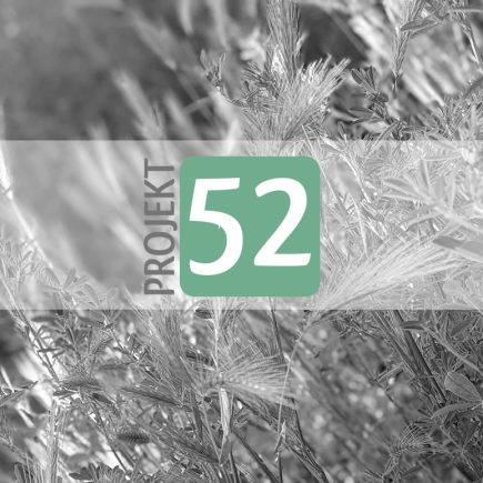 Projekt 52