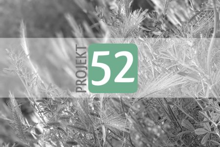 Projekt 52
