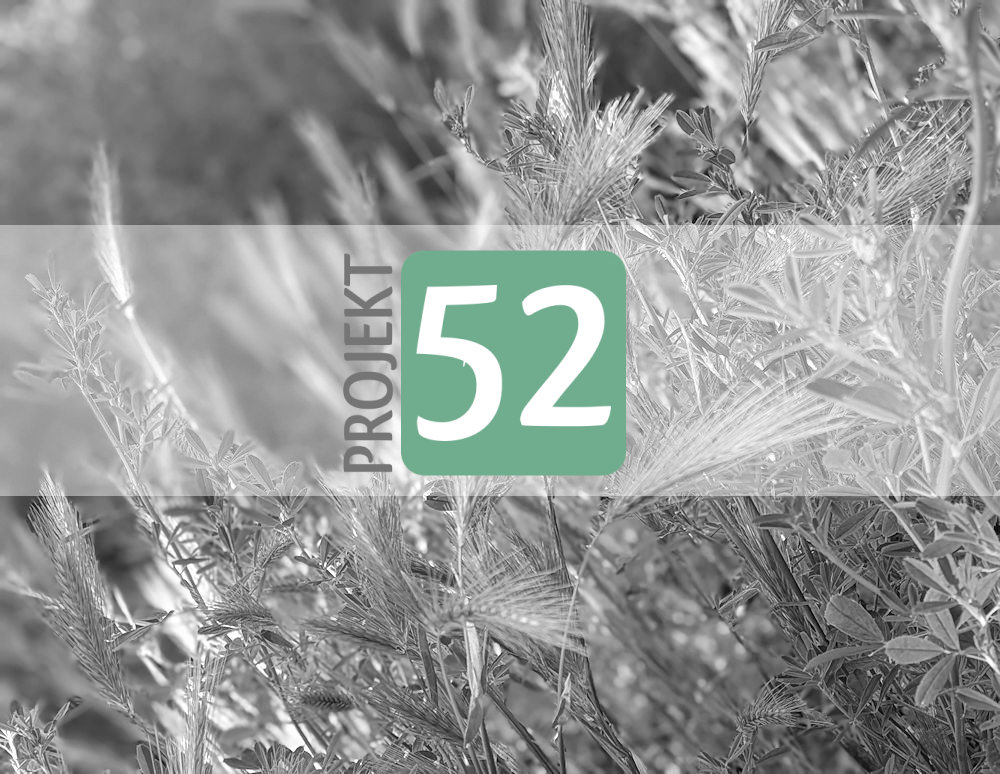 Projekt 52