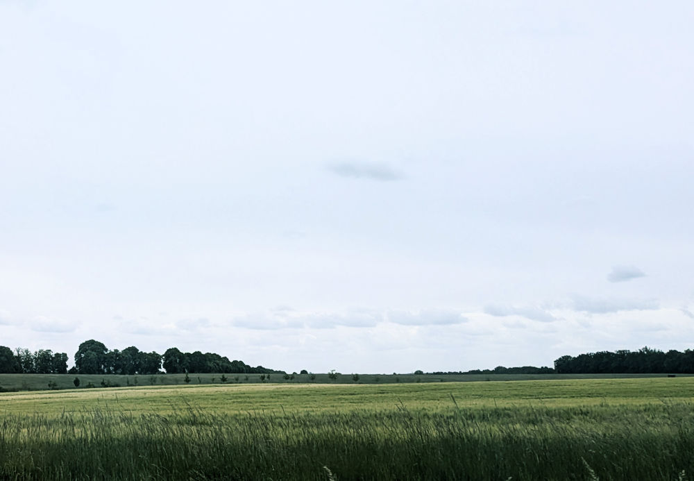 Landluft