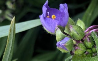Wochenlieblinge