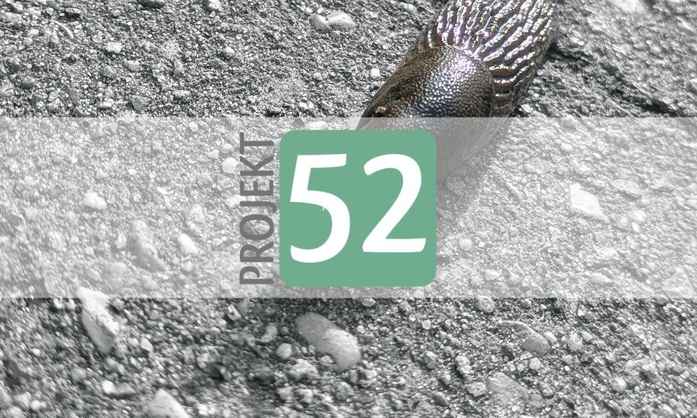 Projekt 52