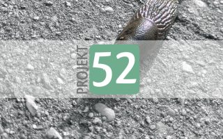 Projekt 52