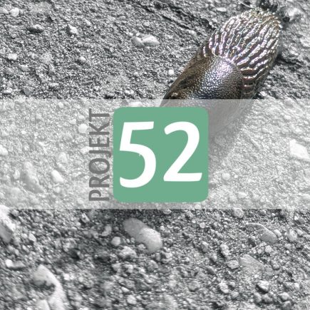 Projekt 52