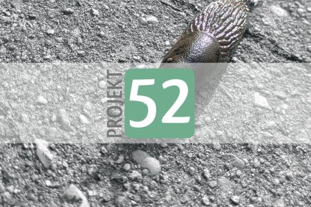 Projekt 52