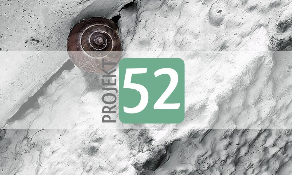 Projekt 52