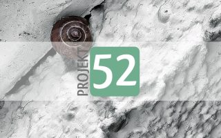 Projekt 52