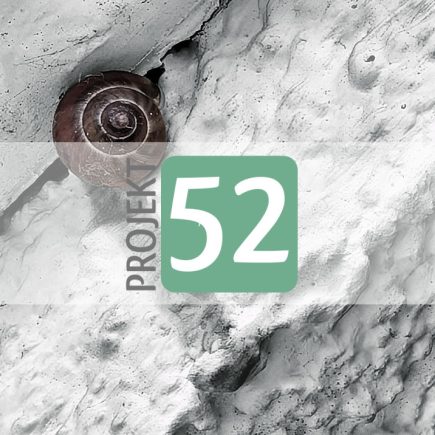 Projekt 52