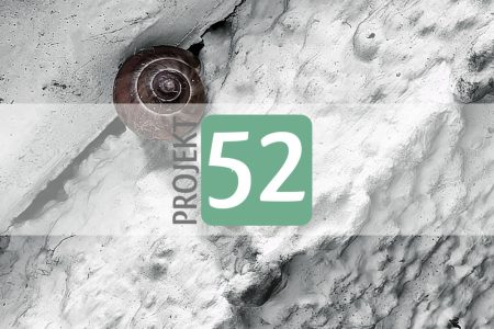 Projekt 52