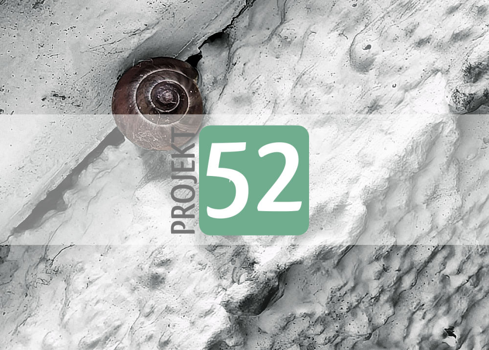 Projekt 52