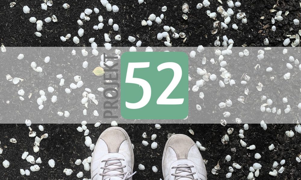 Projekt 52
