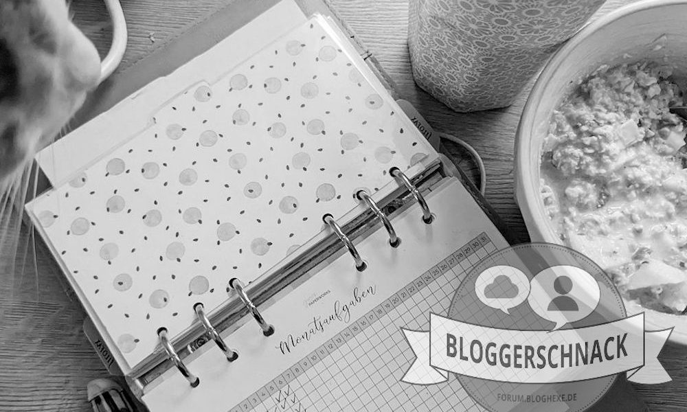 Bloggerschnack