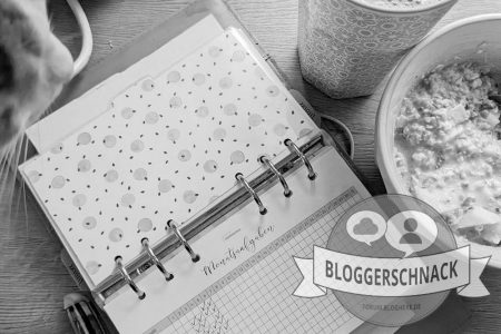 Bloggerschnack