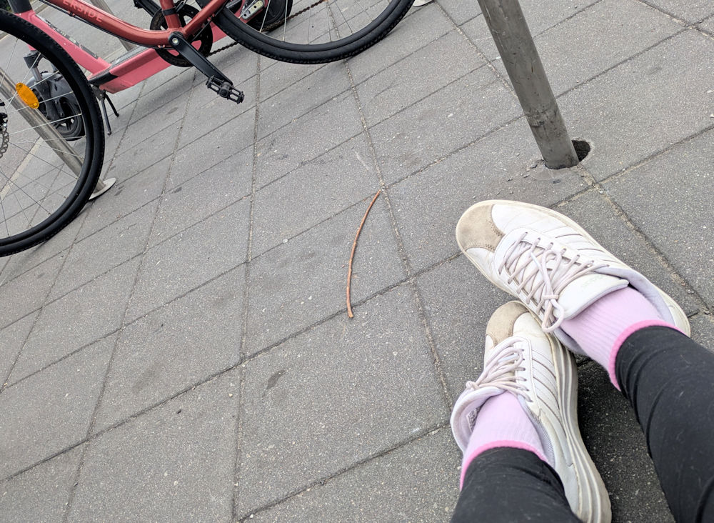 Wochenlieblinge