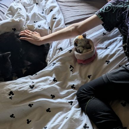 Katzen