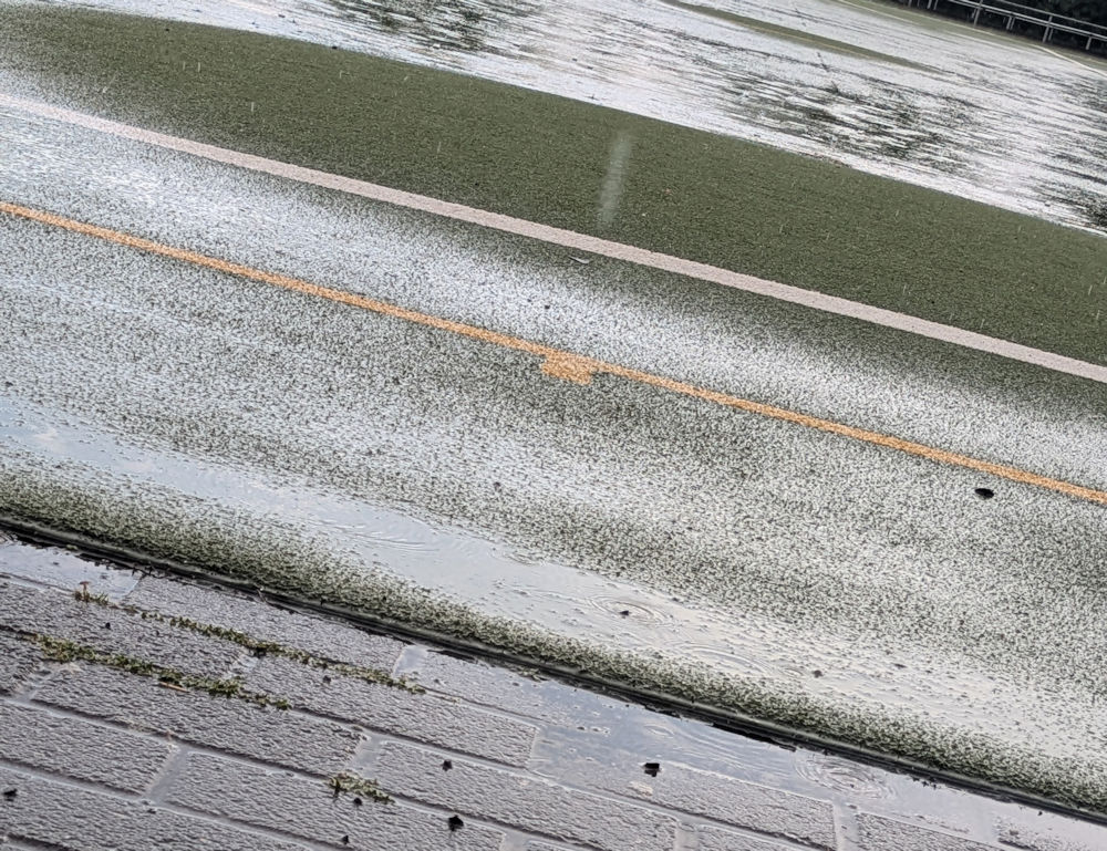 Wochenlieblinge