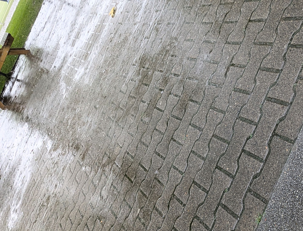 Wochenlieblinge