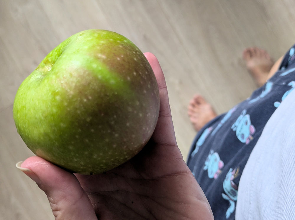 Apfel
