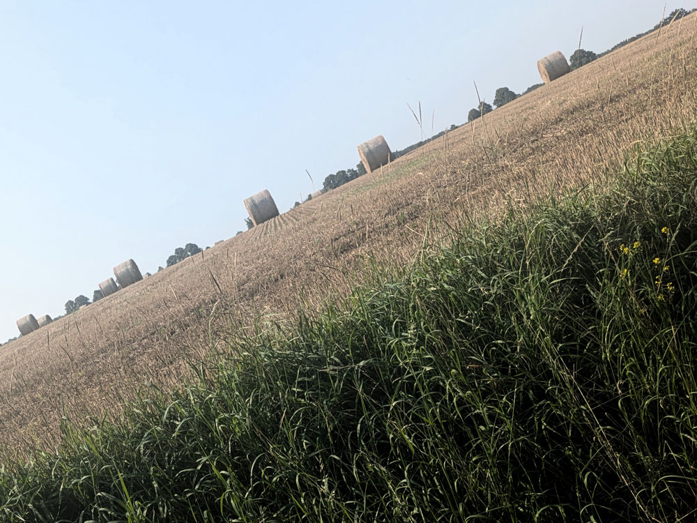 Fahrrad