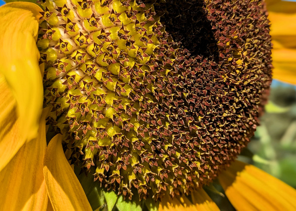 Nature Thursday