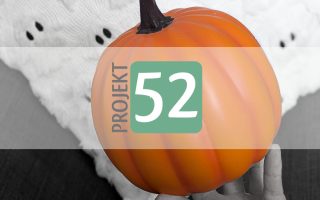 Projekt 52