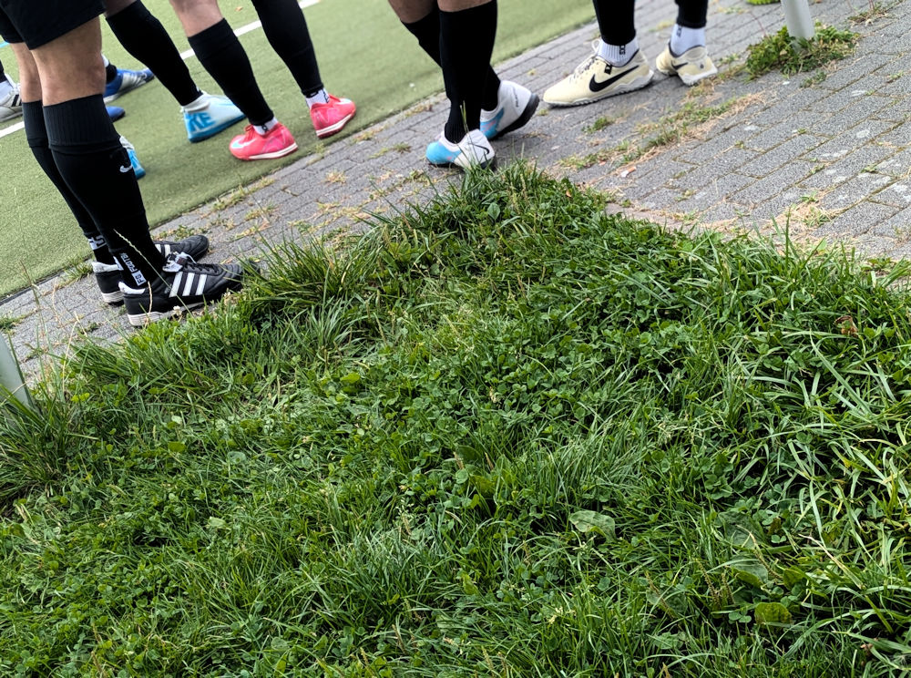 Pokal