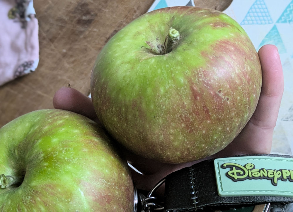 Gartenäpfel