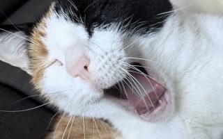 Wochenlieblinge