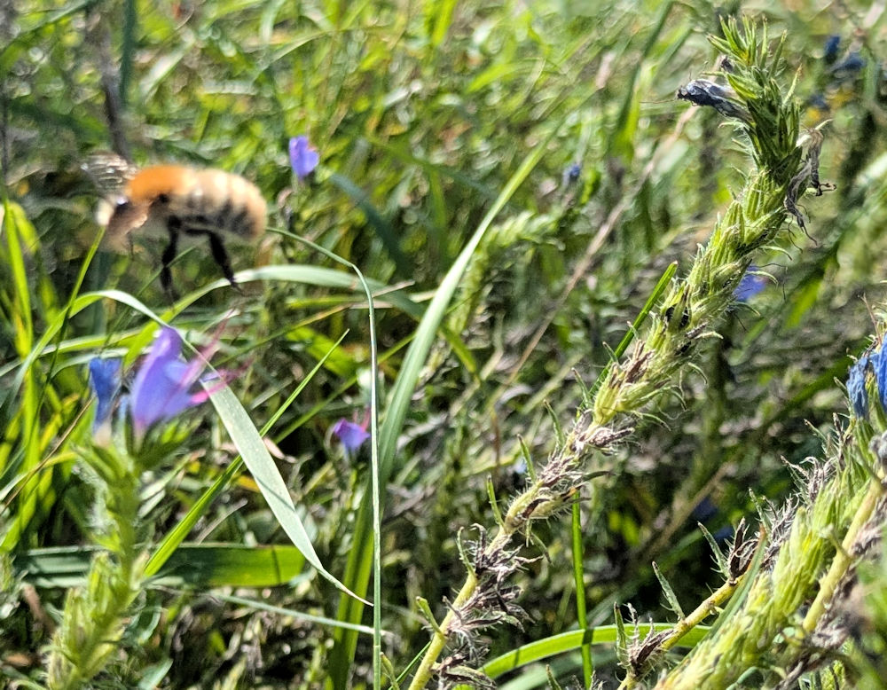 Nature Thursday 