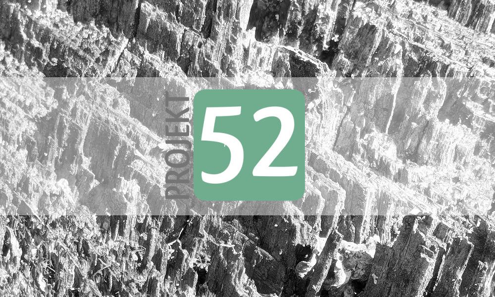 Projekt 52 - Holz