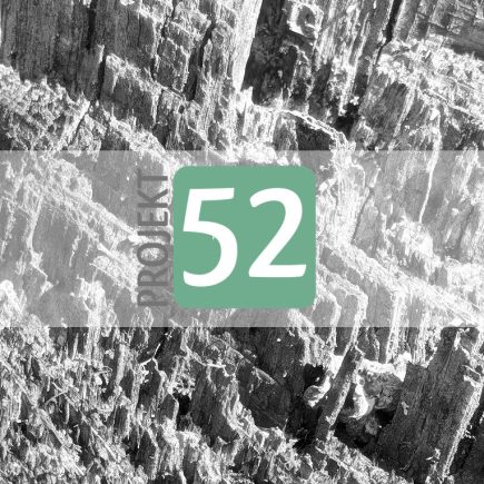 Projekt 52 - Holz
