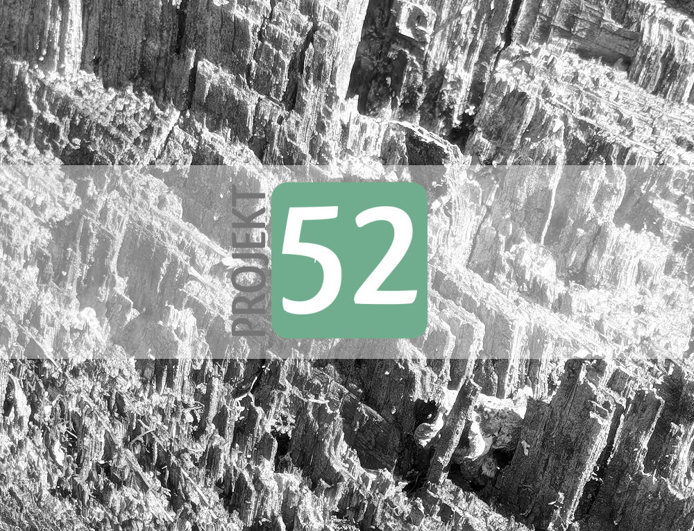 Projekt 52 - Holz