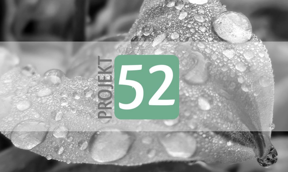 Projekt 52