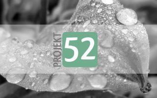 Projekt 52