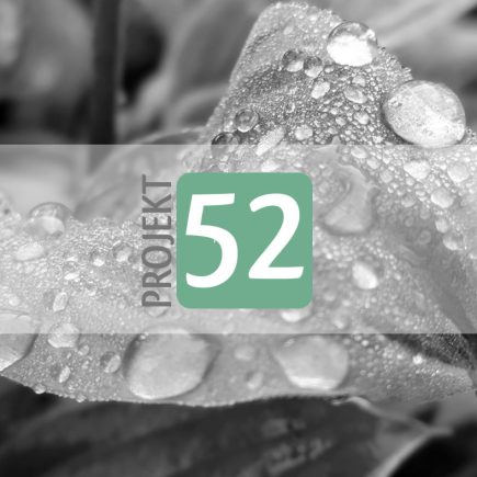 Projekt 52