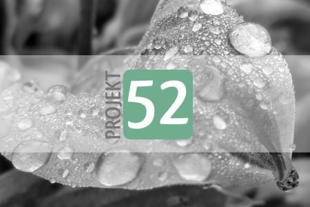 Projekt 52