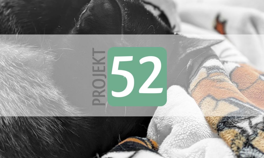 Projekt 52