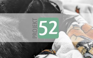 Projekt 52